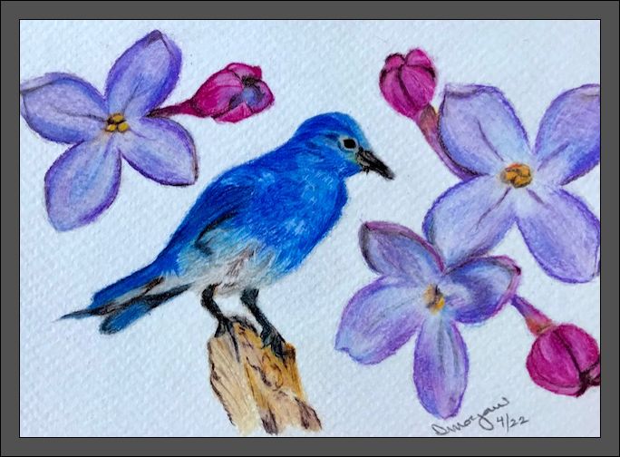 Mountain Bluebird and Lilac